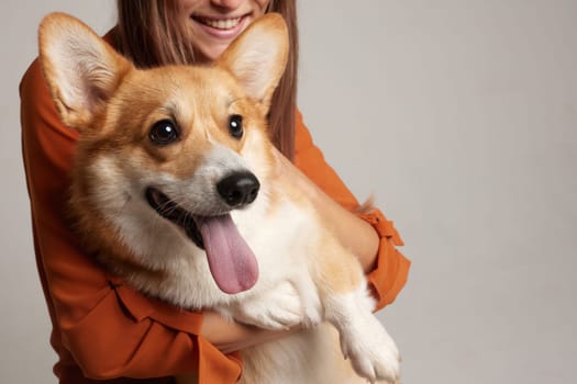 Close-up of a smiling Corgi dog with tongue out, held by happy young woman, isolated on light studio background.