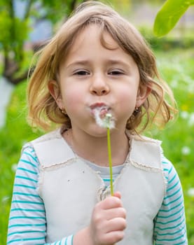 Child blowing dandelion in park. Selective focus. Allergy Kid.