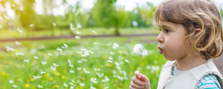 Child blowing dandelion in park. Selective focus. Allergy Kid.