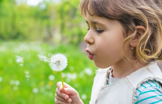 Child blowing dandelion in park. Selective focus. Allergy Kid.