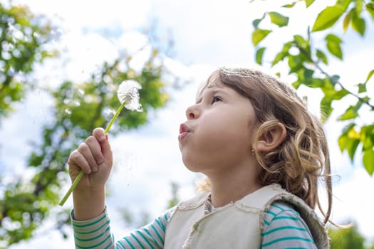 Child blowing dandelion in park. Selective focus. Allergy Kid.