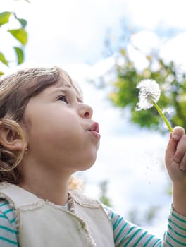 Child blowing dandelion in park. Selective focus. Allergy Kid.