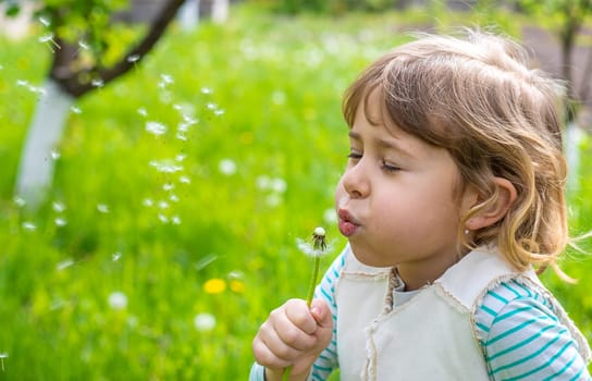 Child blowing dandelion in park. Selective focus. Allergy Kid.