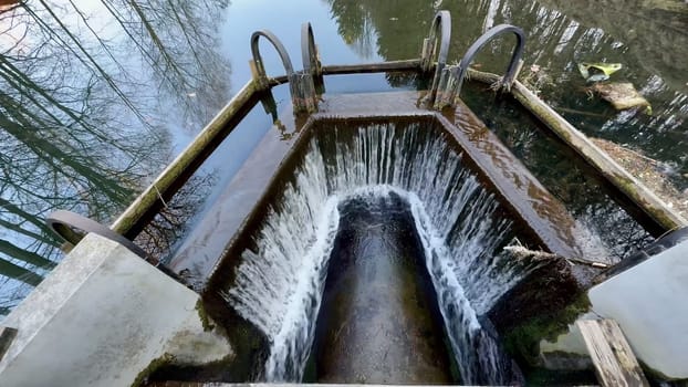 Capture the mesmerizing flow of water through a treatment inlet, surrounded by natures reflections