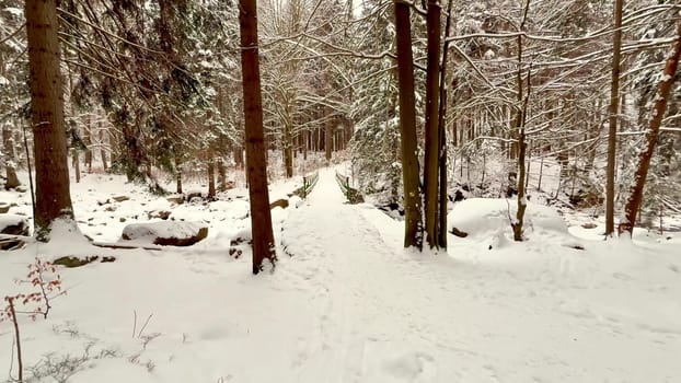 A winter trail in a tranquil forest, blanketed in soft snow and surrounded by serene, picturesque views