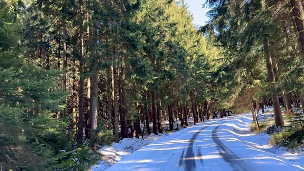 A serene and tranquil winter scene depicting a snowcovered road that is surrounded by lush and vibrant evergreen trees