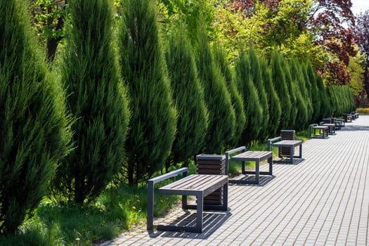 A neatly arranged row of benches is positioned along a sidewalk that runs through a lovely park area, providing a place to rest