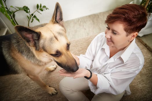 Woman enjoys a cozy moment with her German Shepherd dog in a warm, inviting room, highlighting their special bond.