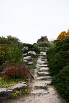 Winding Stone Pathway Leading Upward Through Lush Greenery and Colorful Autumn Foliage