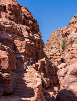 Local man on donkey pulls mule up staircase on trail to Ad Deir or the Monastery from Petra which is 1.6km and 800 steps