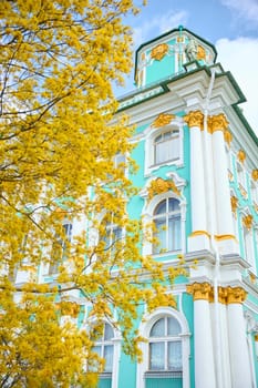 the incredibly picturesque facade of the Winter Palace through the branches of trees on a clear spring day, the heritage of Russia, the most famous landmark of St. Petersburg, the museum. High quality photo