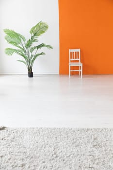 One chair and a green plant in the interior of a white and orange room