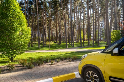 Yellow car in front of the park in the parking lot. Alleys of various trees in the city park on a clear day, in the sun's rays. Various trees grow in the public space, among the trees
