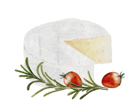 Cheese watercolor drawing. Camembert or brie picture with cherry tomatoes and rosemary. Hand drawn illustration of dairy cream product of French cuisine. Clip art of food on white background. Ideal for packaging of farm organic product or restaurant menu design. High quality illustration