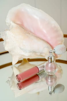 Pink lip gloss, highlighter in original jar and large soft pink seashell. objects lie on mirror surface. flat lay with place for text. vertical photo