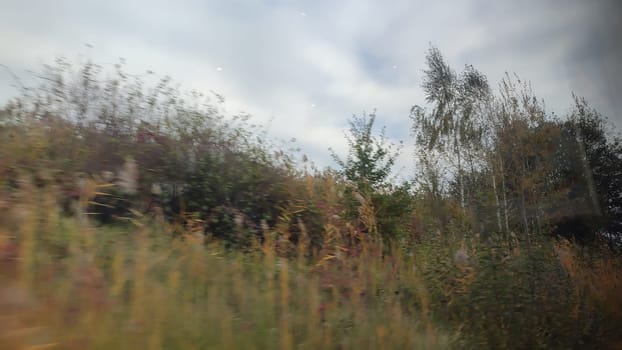 Nature autumn landscape grass field forest green nature park summer day background trees season sky clouds . High quality photo
