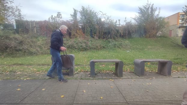 Cesca Lipa Chech Republic Europe October 18 2024 - Man pulling suitcase travel tourism summer day park shotlisttravel autumn trees natural nature people . High quality photo editorial