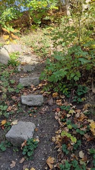 Stone path nature park summer tree trees green autumn leaves garden flora botanical gardens outside outdoor travel tourism shotlisttravel place forest landscape background . High quality photo