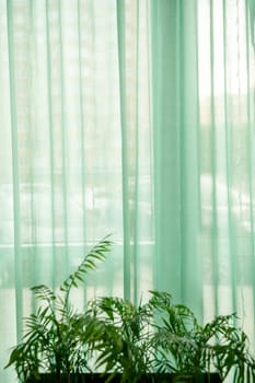 Light curtain, green color, indoor plants grow on the windowsill. The curtain creates a refreshing atmosphere