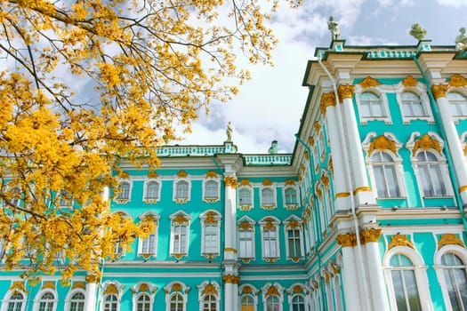 the incredibly picturesque facade of the Winter Palace through the branches of trees on a clear spring day, the heritage of Russia, the most famous landmark of St. Petersburg, the museum. High quality photo