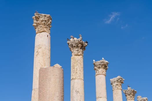 Detail of columns one the Cardo Maximus, the main street to North Gate in Jerash, a Greco-Roman well preserved city in Jordan