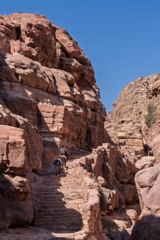 Local man on donkey pulls mule up staircase on trail to Ad Deir or the Monastery from Petra which is 1.6km and 800 steps