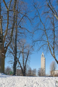 Snowy landscape in the city park, Rotehornpark in Magdeburg. In the background the Albinmullerturm, a landmark of the city