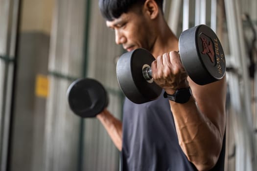 A male fitness enthusiast lifts dumbbells, showcasing muscle definition and commitment to strength training.