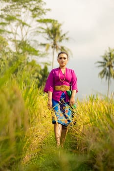 Balinese woman in a purple dress standing between the green rice field in the daylight