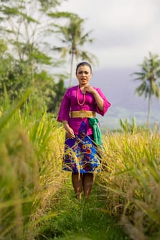 Balinese woman in a purple dress standing between the green rice field in the daylight