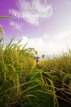 Indonesian women dancing pose between the rice field with purple sky in the background during the daylight