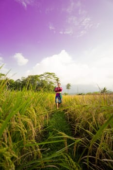 Indonesian women dancing pose between the rice field with purple sky in the background during the daylight