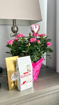 Ottawa, Canada - March 01, 2025: Pink roses in a decorative pot with a heart-shaped balloon and Raffaello, Ferrero Rocher chocolates on a wooden table, creating a romantic atmosphere.