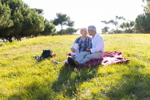 Affectionate senior couple enjoying a romantic picnic in a sunny park, sitting on a blanket and sharing a tender moment