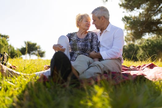 Happy retired couple enjoying a romantic picnic in a sunny park, embracing and sharing a tender moment