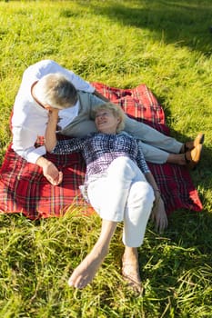 Elderly couple enjoying a relaxing picnic in a sunny meadow
