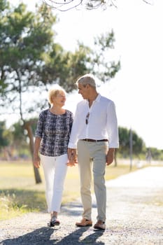 Smiling senior couple holding hands and walking along a path in a park