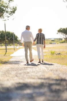 Rear view of happy senior couple holding hands and walking on a path in a park