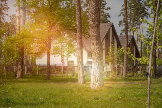 White residential houses in the village surrounded by pine forest in the bright rays of the setting sun. Various trees around the house. Lawn in the park. House in a nature reserve, forest