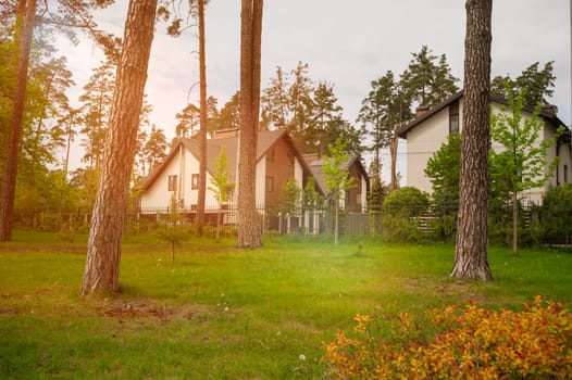 White residential houses in the village surrounded by pine forest in the bright rays of the setting sun. Various trees around the house. Lawn in the park. House in a nature reserve, forest, in park