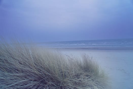 View over the dunes on the island of Usedom to the Baltic Sea. Dune grass and white sand. Nature photo