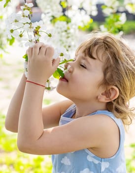 Child in a garden of flowering trees. Selective focus. kid.