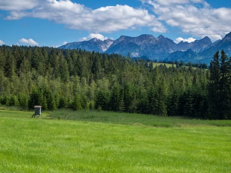 Allgäu landscape with a hilly meadow with a hunter's hill in the foreground, coniferous forest in the middle ground and high mountains in the background under a blue sky with a few clouds in summer.