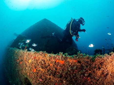 unrecognizable scuba diver diving on a sunken ship in the ocean, concept of underwater adventure and active leisure lifestyle