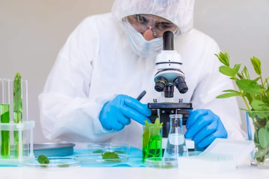 Research of plants in the laboratory. Selective focus. nature.