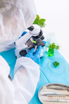 Research of plants in the laboratory. Selective focus. nature.