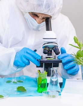 Research of plants in the laboratory. Selective focus. nature.