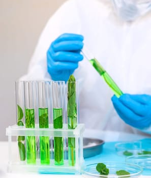 Research of plants in the laboratory. Selective focus. nature.