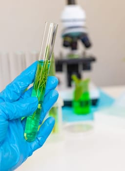 Research of plants in the laboratory. Selective focus. nature.