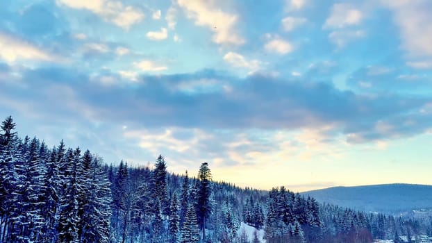 A tranquil winter scene with snowcovered trees against a bright blue sky and soft clouds floating above